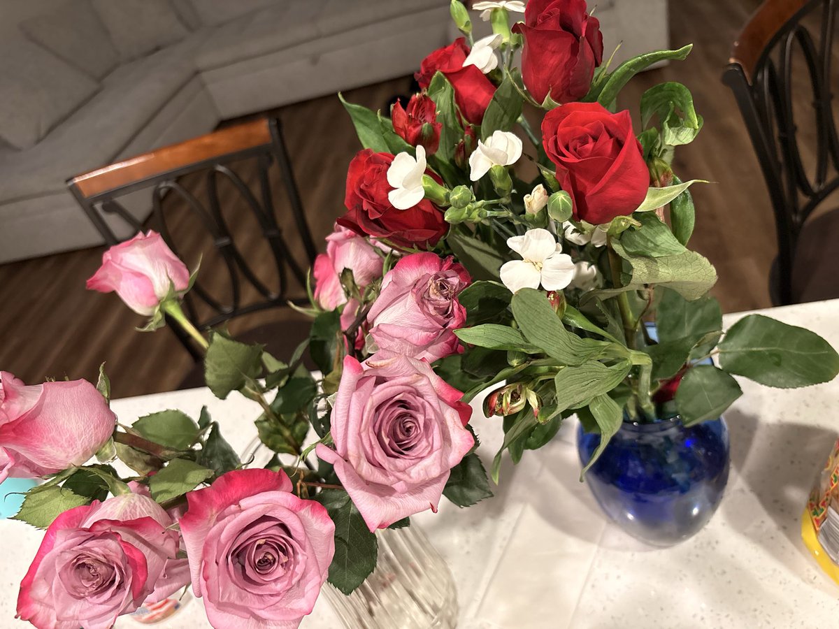 chosen 🦚 tweet media