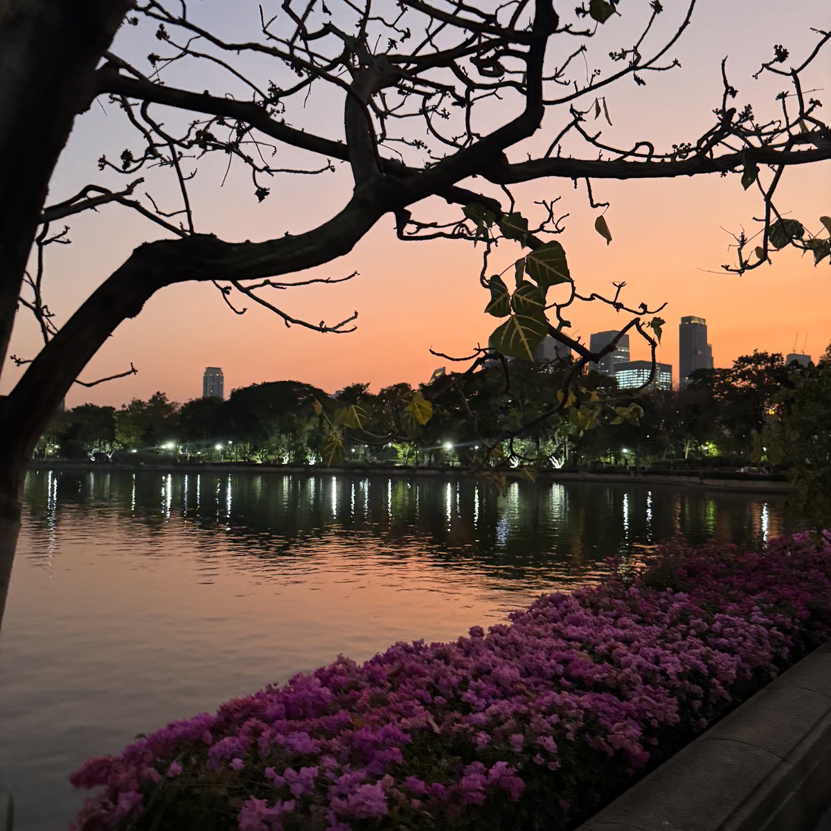 jeetmaxxer tweet media