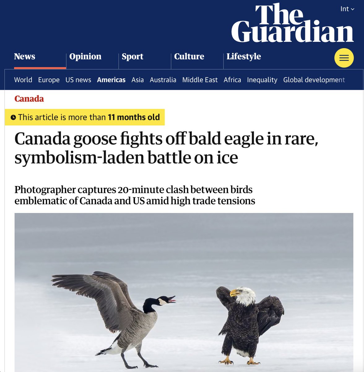 Rachel Gilmore tweet media