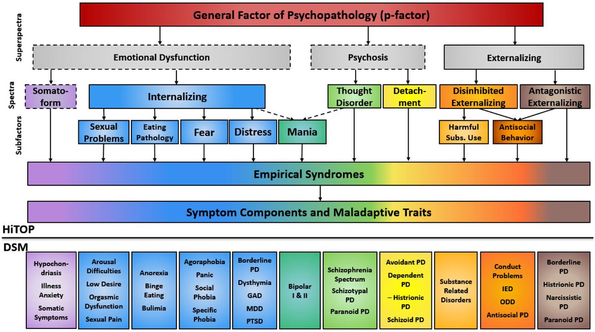 HiTOP significa Hierarchical Taxonomy of Psychopathology: en español, Taxonomía Jerárquica de la Psicopatología. “Taxonomía” es una forma de clasificar; “jerárquica” significa que ordena la información en niveles, de lo más general a lo más específico. 

En lugar de tratar los