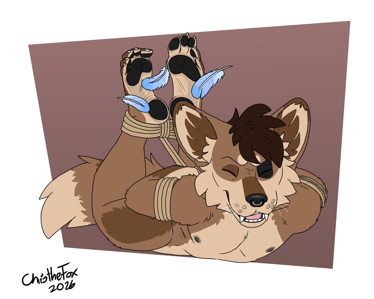 🐾 Linkstone🐾 tweet media