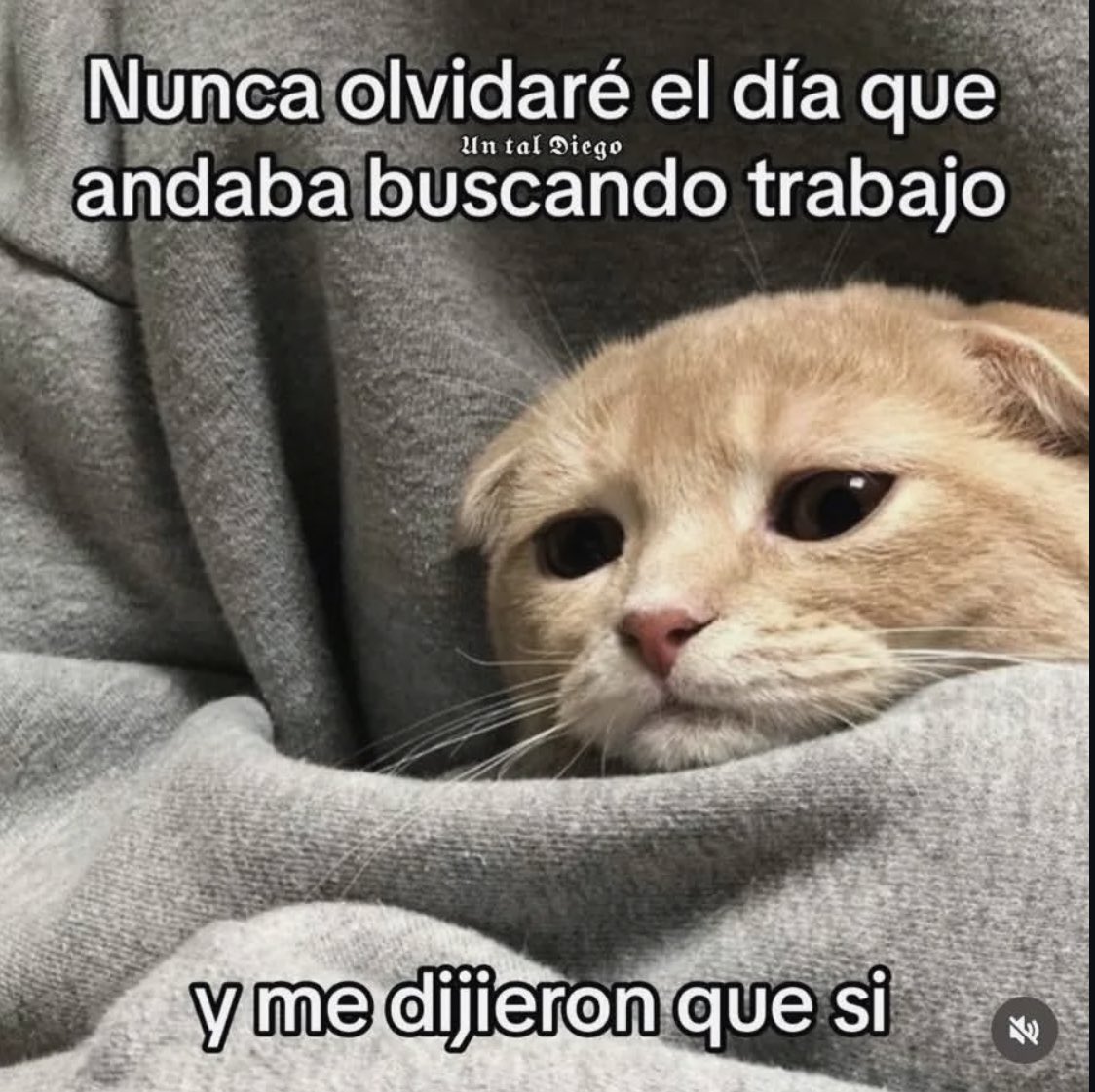 𝐏𝐞́𝐫𝐞𝐳 𝐜𝐨𝐦𝐨 𝐞𝐥 𝐑𝐚𝐭𝐨́𝐧 tweet media