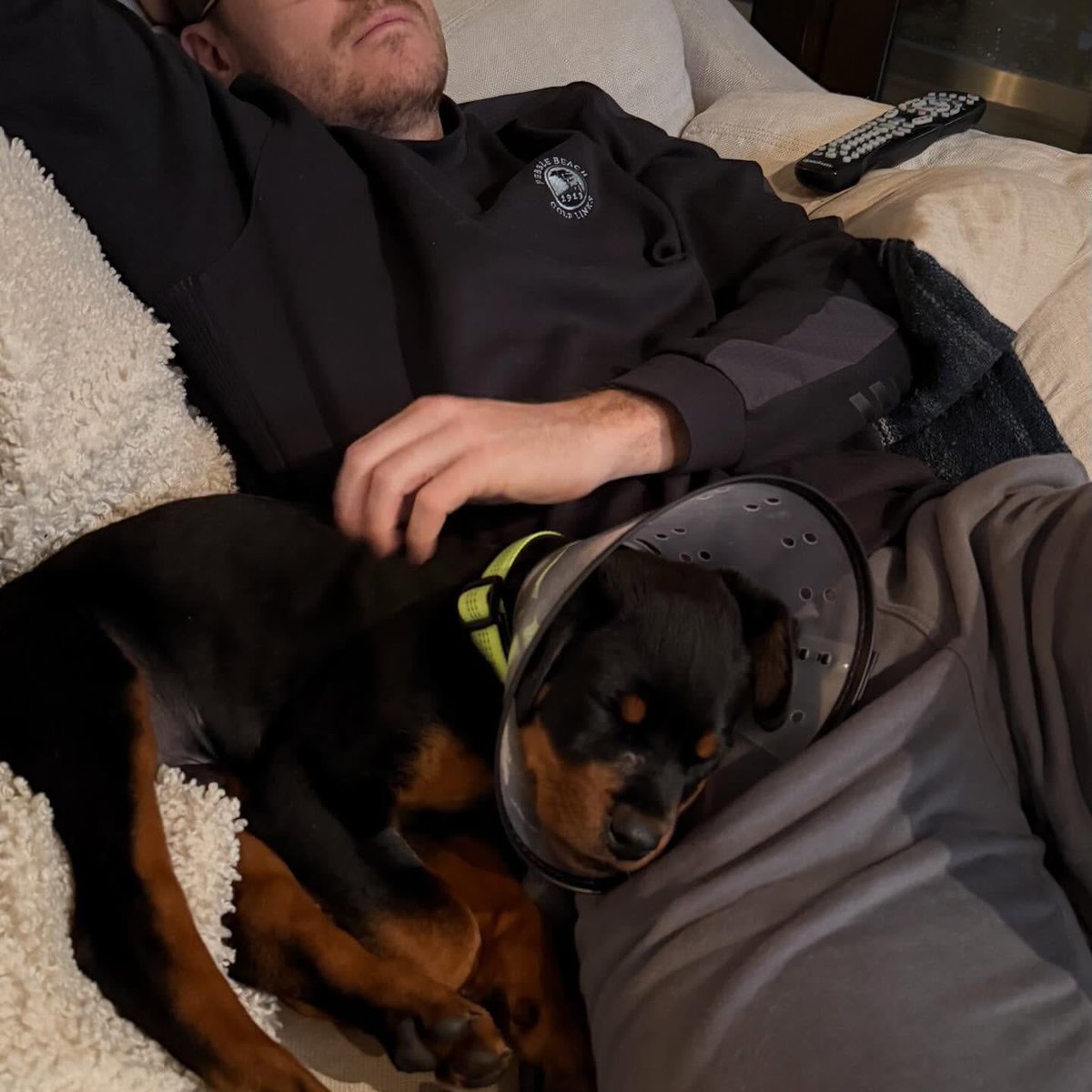 TRASSE ADOPTED A PUPPY TOGETHER. I’m unwell— 😭😭❤️