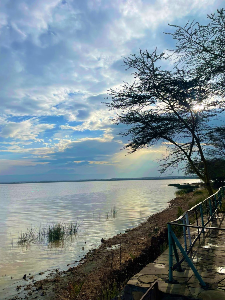SimonAwitti's tweet photo. This is @Sentrim_Hotels Elementaita, unbeatable lake views, amazing food with generous portions. Some places are truly worth every shilling. https://t.co/WSt7Hm70T7