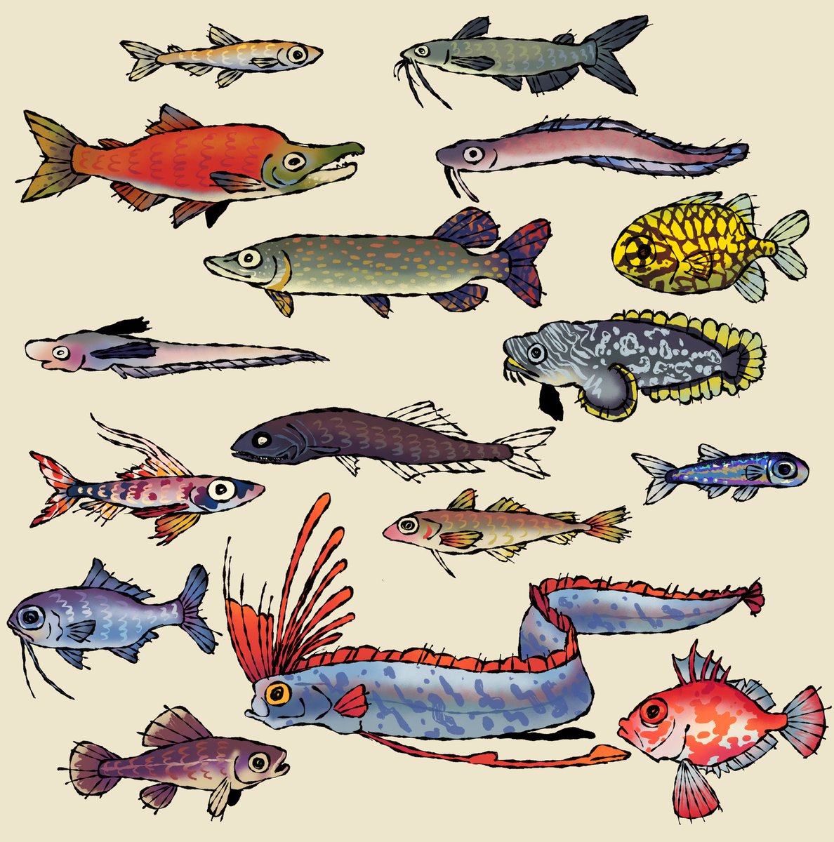 some fish i drew for my natural history of vertebrates class 🐟