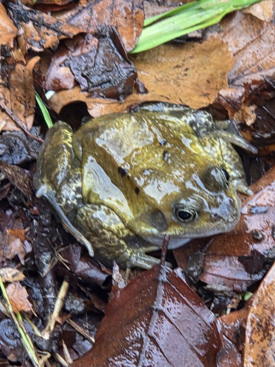 HeatherPrimarySchool tweet media