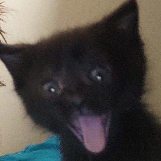 綺麗 (@xngriku) on Twitter photo 