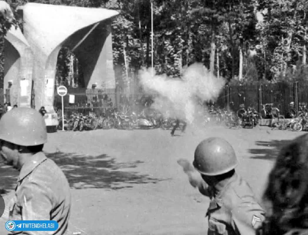#وحوش_پهلوی در دانشگاه عربده کشی میکنند، پرچم مقدس ایران رو به آتش میکشن و به رهبر مملکت فحاشی میکنند در حالیکه اگر اینکارو در زمان پهلوی انجام میدادن قطعا تیربار می‌شدند 
اینم نتیجه نسلی که تاریخ نمی‌خواند تا دوباره توسط همان جلادان #نسل_ساواک تحمیق شود