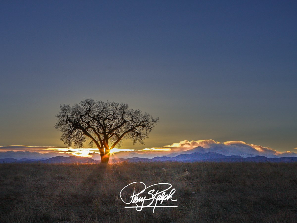 perryralph's tweet photo. Nothing But Blue Skies Do I See #BlueSkyMonday

"Lone Tree Sunburst"

The shadows of the #Tree are used as leading lines to the image and Create scale and depth by placing the tree in the foreground making it look "larger" than the #Mountains. #Sunburst #LoneTree #Colorado #Photography