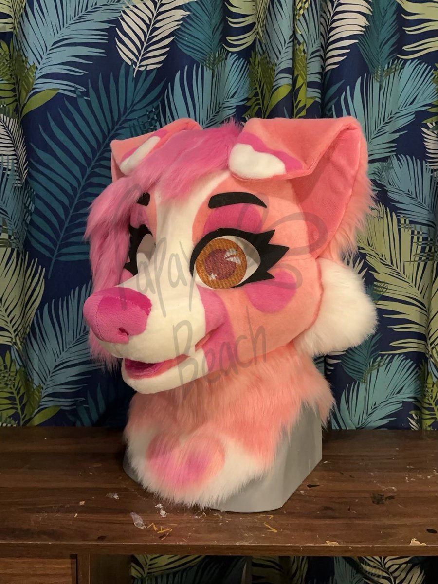 🏖️Papaya Beach Fursuits🏖️ tweet media