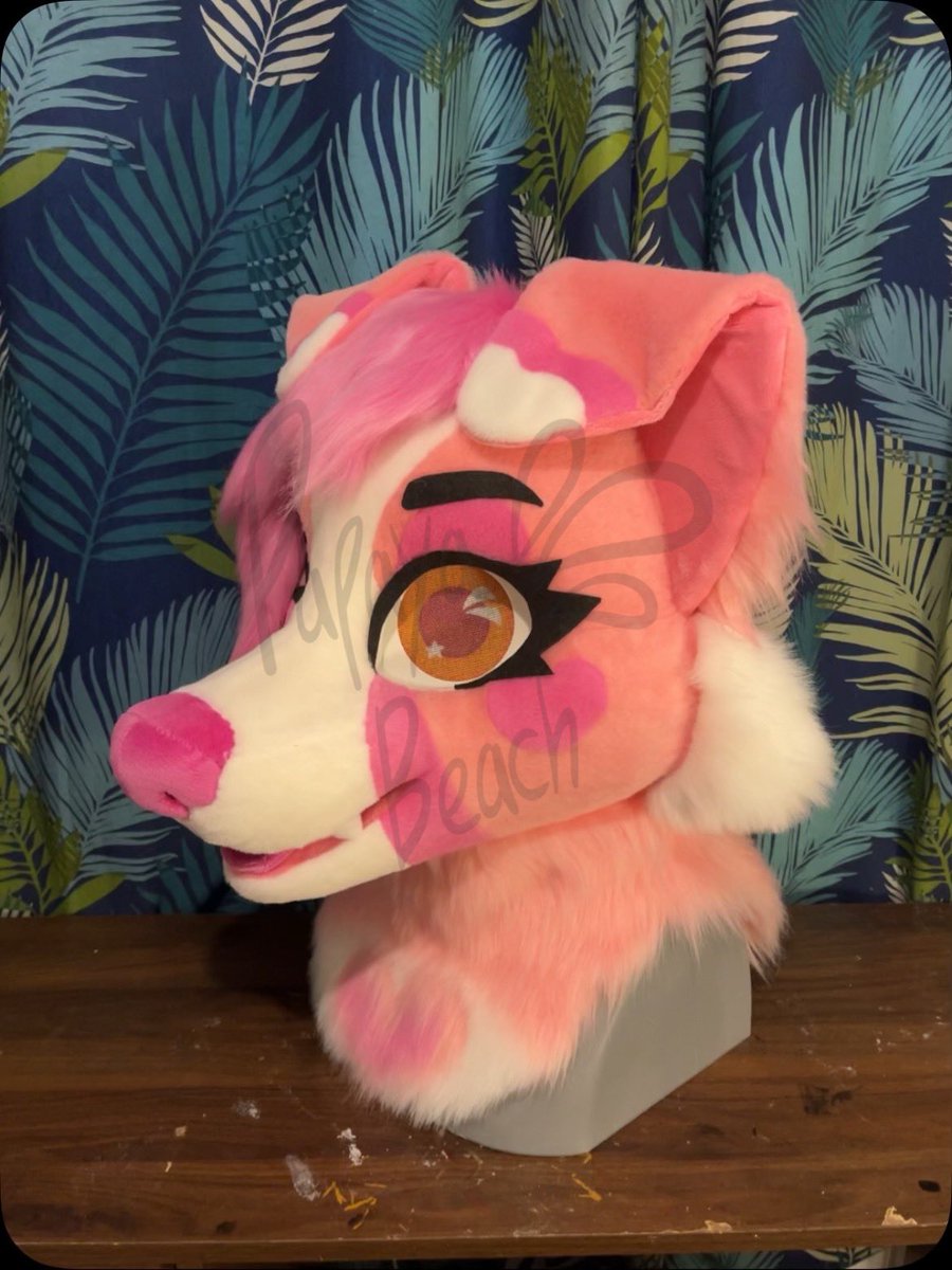 🏖️Papaya Beach Fursuits🏖️ tweet media