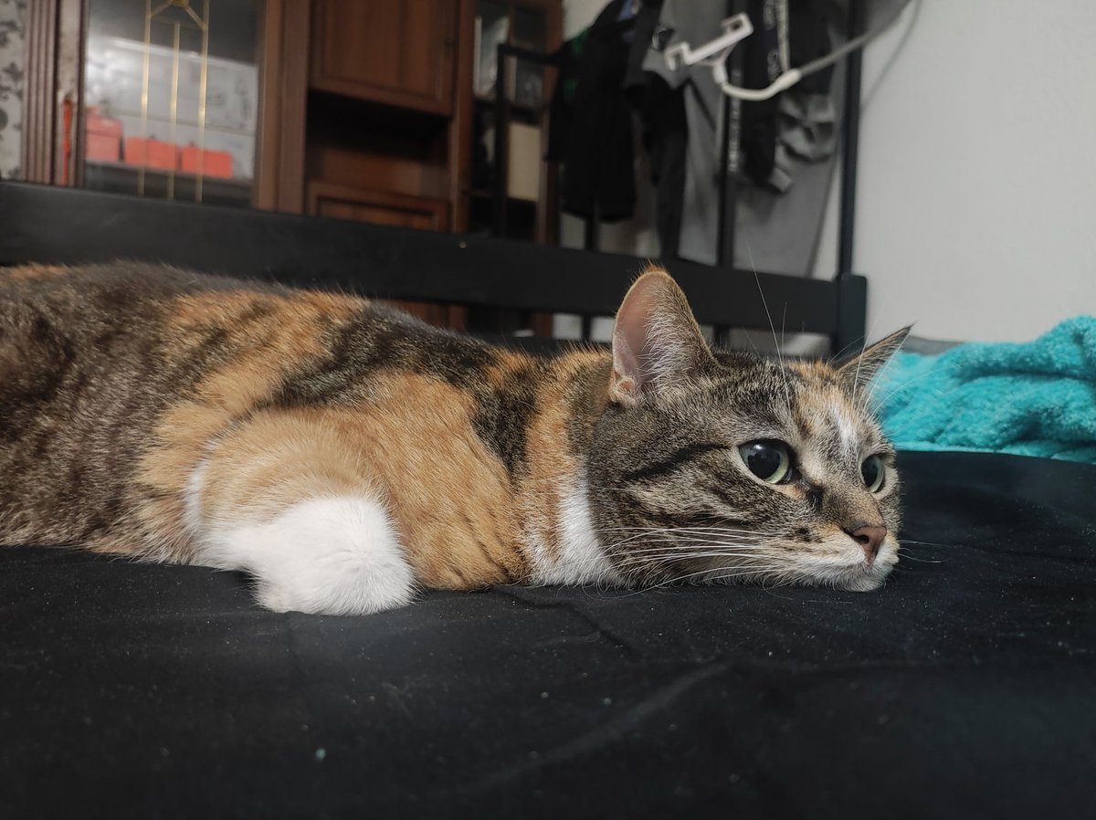 Добре бути нею