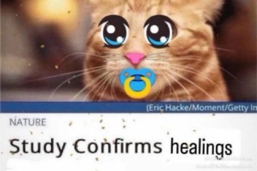 004ZZZZ's tweet image. #givemethat #justforaday #please