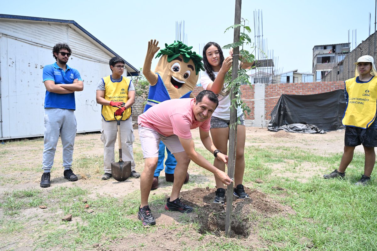 MuniLima's tweet photo. ¡Construyamos juntos una Lima más sostenible!🌱
Continuamos avanzando con el Programa #LimaVerde con @limaserpar, sumando 540 nuevas especies entre árboles y arbustos en dos importantes jornadas en las instituciones n.° 0025 San Martín de Porres y n.° 3094 J. William Fulbright. https://t.co/DEhMNI3zaI