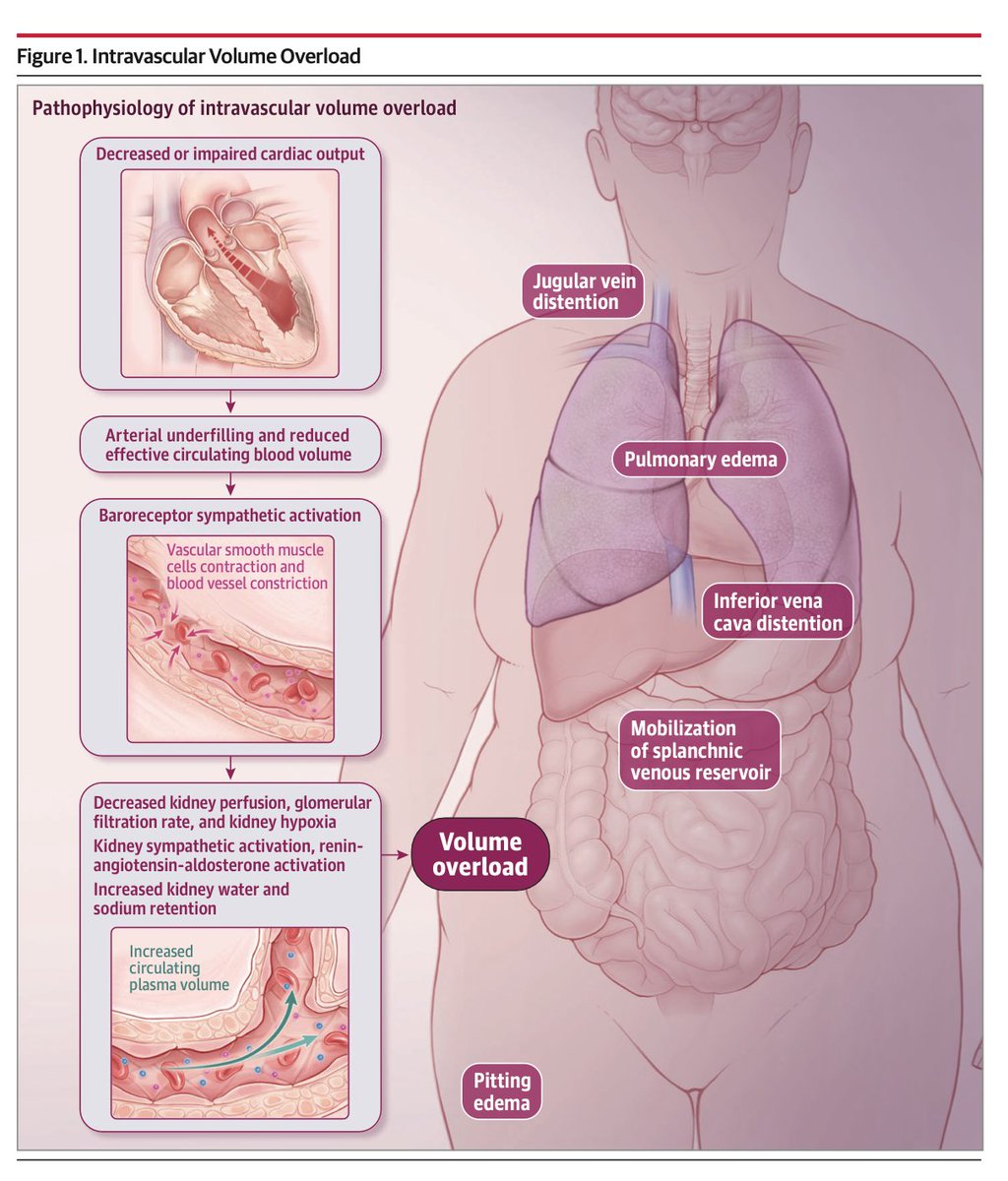 Oliverio tweet media