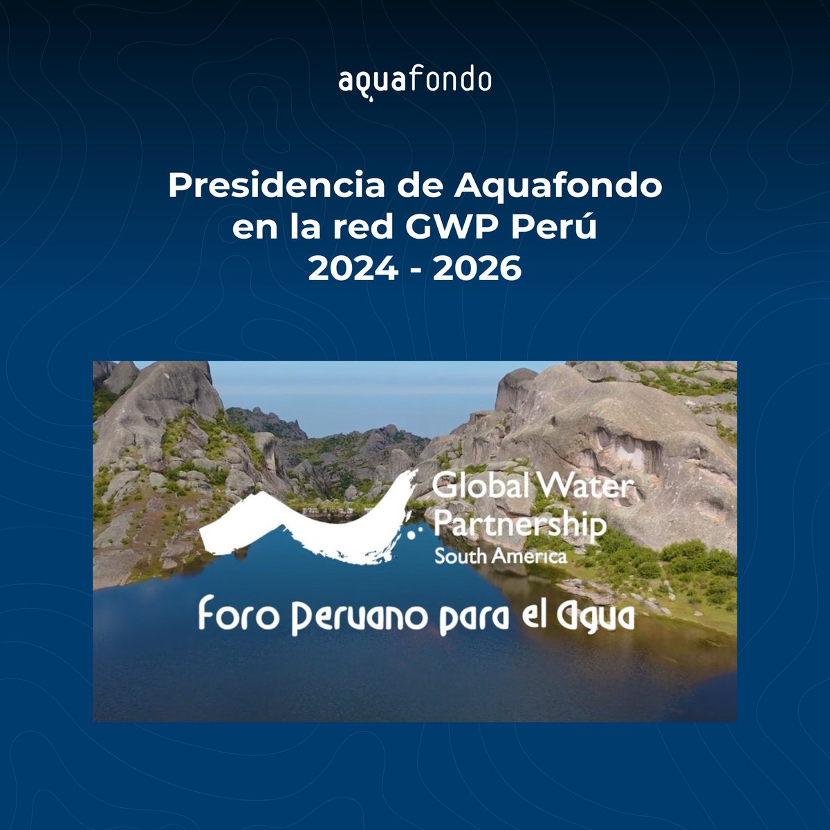 AQUAFONDO tweet media