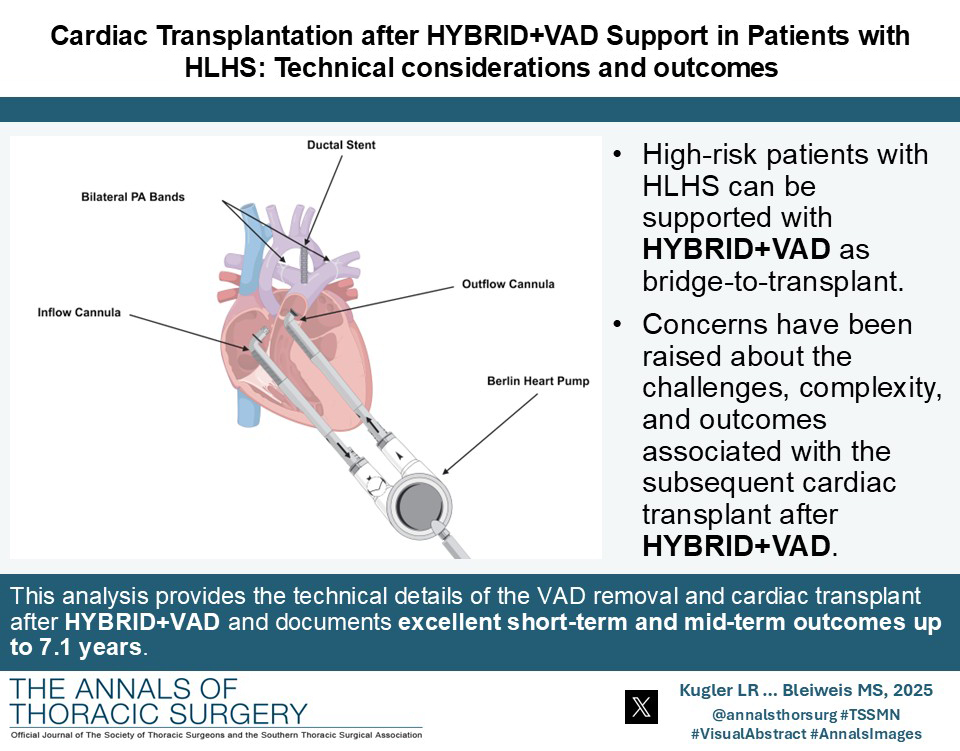 annalsthorsurg's tweet photo. #Congenital #CME article from @LiamKugler et al on Cardiac Transplantation After HYBRIDDVAD Support in Patients With HLHS: Technical Considerations and Outcomes: https://t.co/yRjZ8JCC92
@JeffJacobs215 @DrGilesPeek @MarkBleiweis https://t.co/0laP8SpPYi