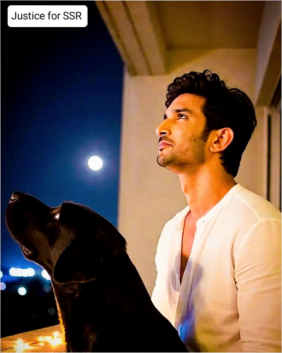 Oye <a href="/itsSSR/">Sushant Singh Rajput</a> :) ❤️🌙
love you loads 💫

न ये चाँद होगा न तारे रहेंगे
मगर हम हमेशा तुम्हें याद करते रहेंगे... 
#SushantSinghRajput ♾️
#JusticeForSushantSinghRajput
