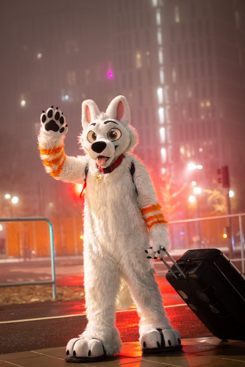 Bolt Railway Dog 🚂 tweet media