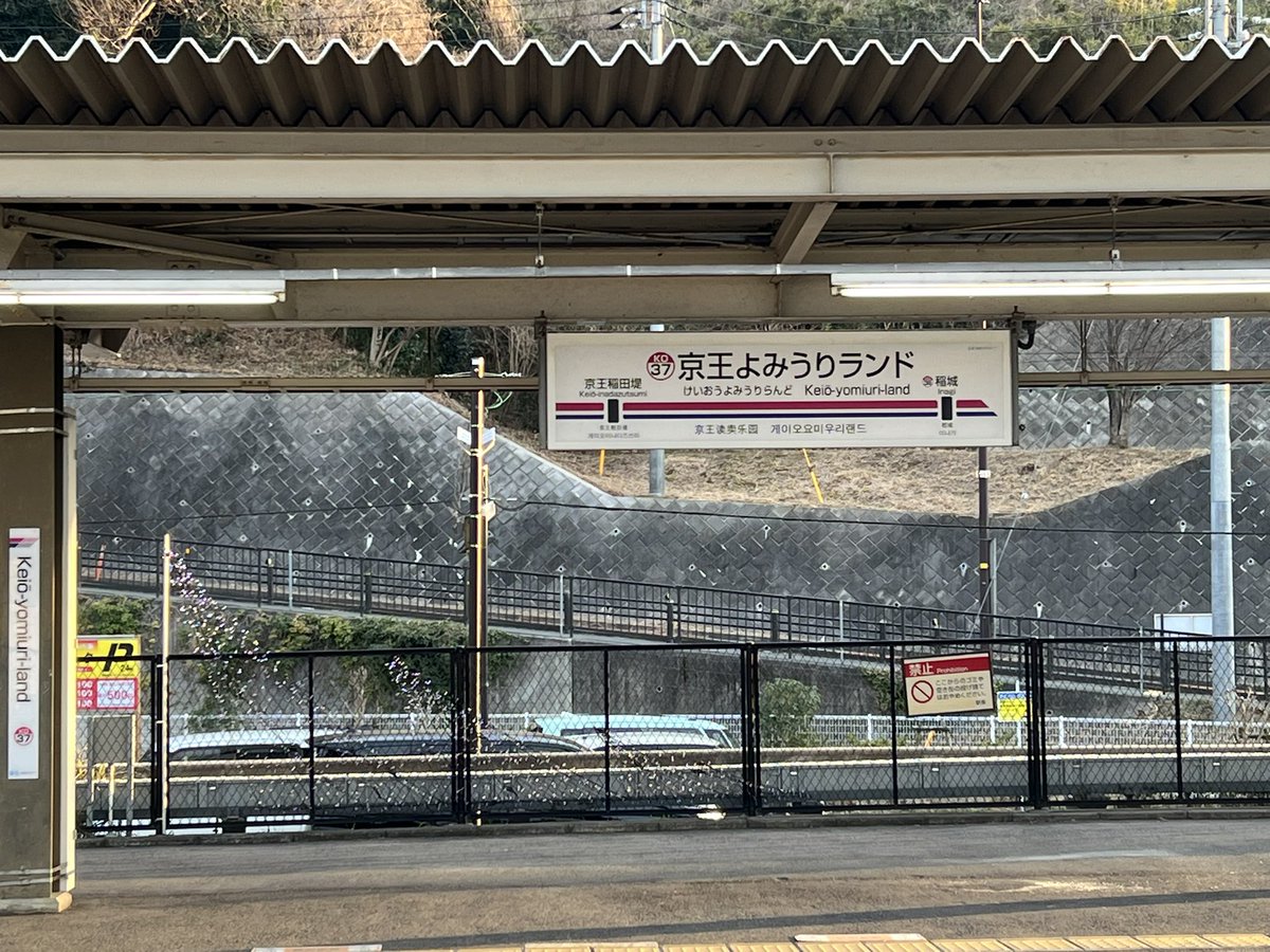 ぴあり (@yeyepiarichan) / Posts / X