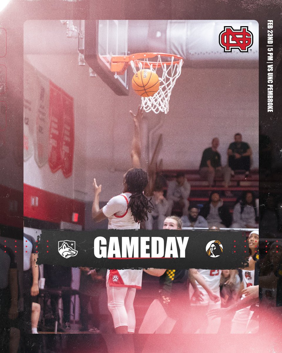 NGU_WBB tweet media