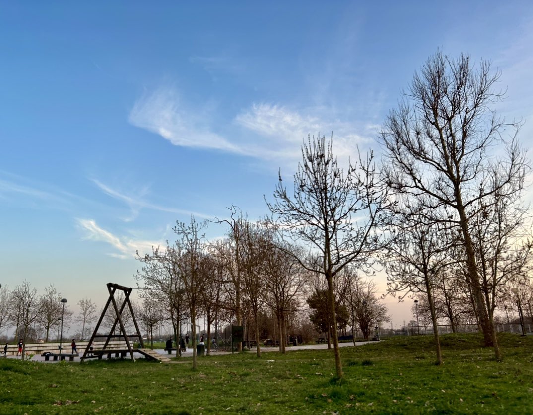 Alberi spogli
prendono ossigeno
e scorre di ramo in ramo
dove il vento può sostare.