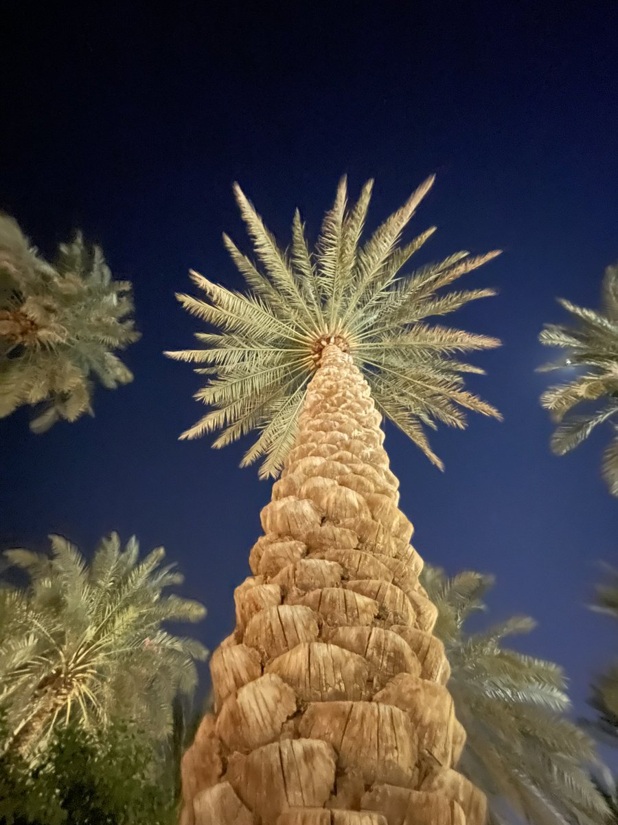 يا الله إني طالبكَ يا مُفيْد الِّلي صَبَر
خيِّر كل الملا ترتجي فضايله