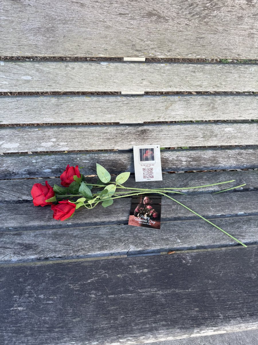 audio fruits 🍊 tweet media