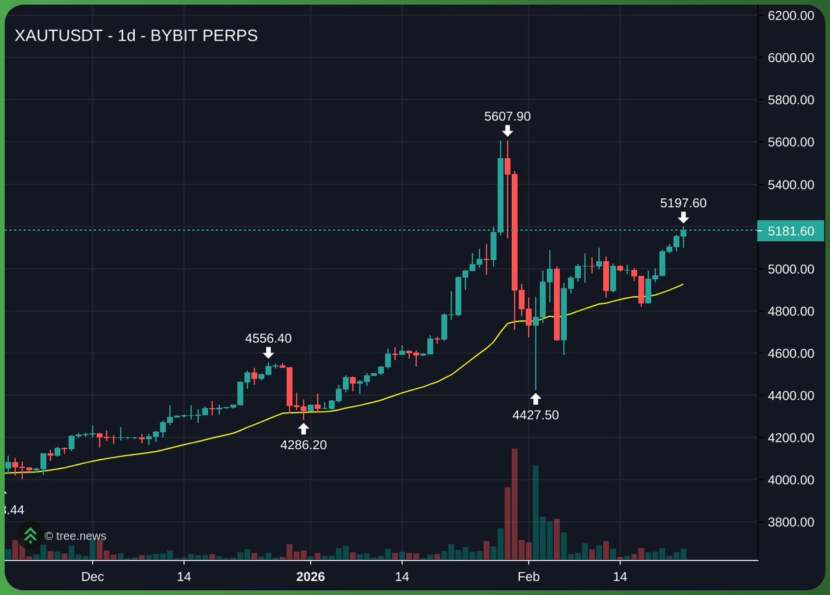 dylanxbt tweet media