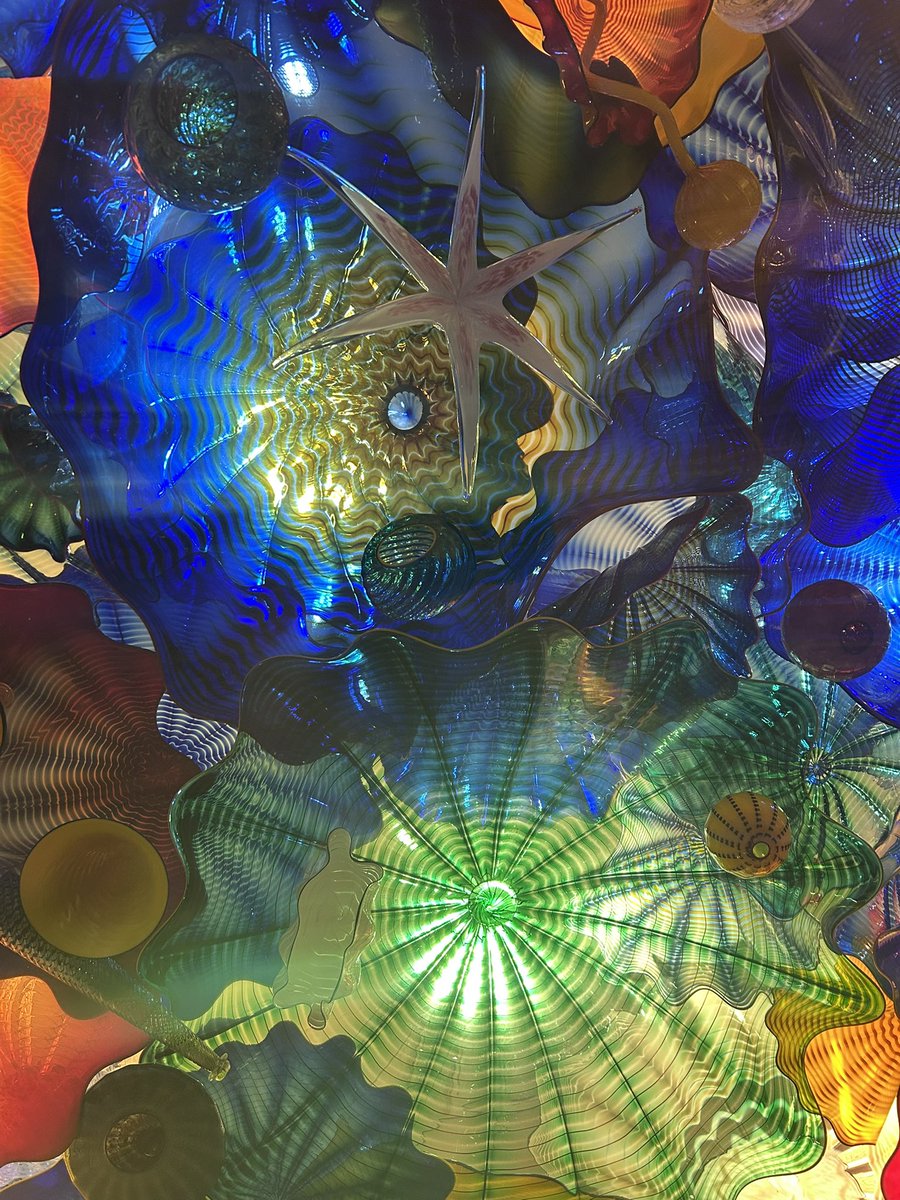 christina cook tweet media