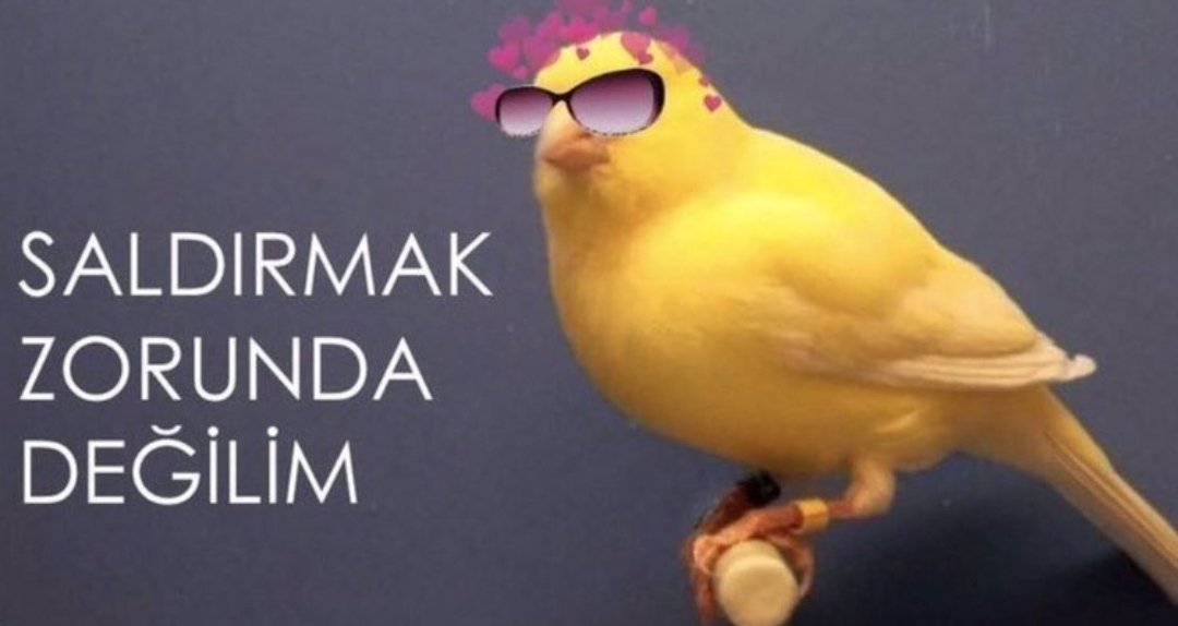 gesenin puan kaybettiği hafta fenerim