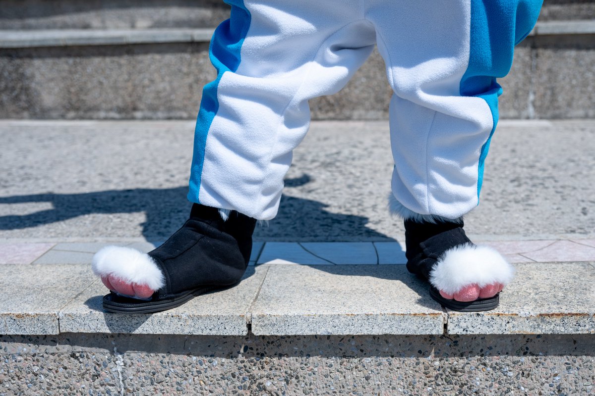 🇹🇼B. Cat⏩🇯🇵✧(순_순) tweet media