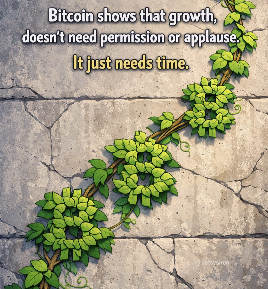 SatsySiren tweet media