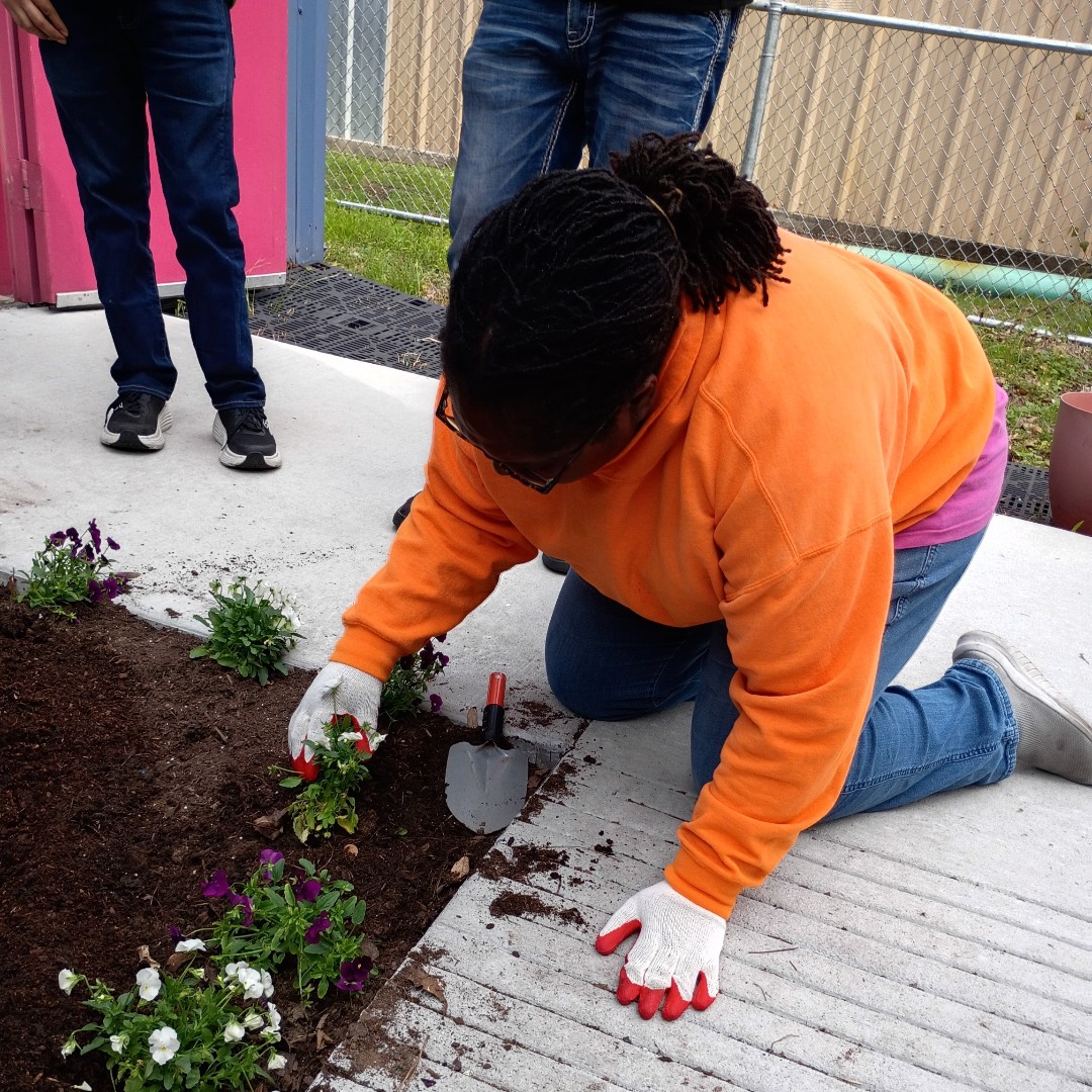 The H.E.A.R.T. Program tweet media