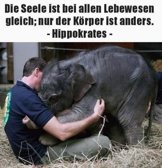 Kampfzwerg280's tweet photo. https://t.co/JjHphcoELF