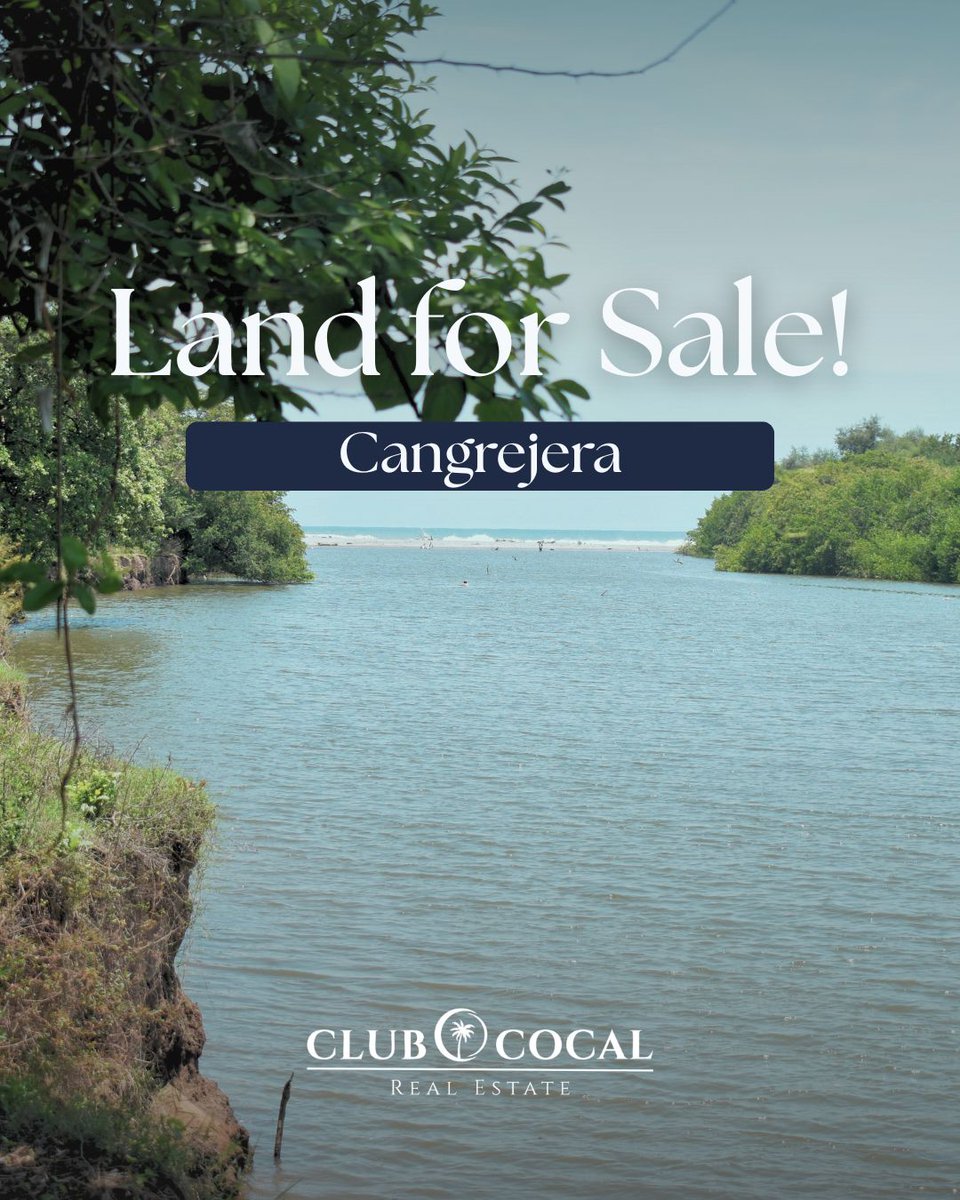 Club Cocal 🇸🇻 tweet media