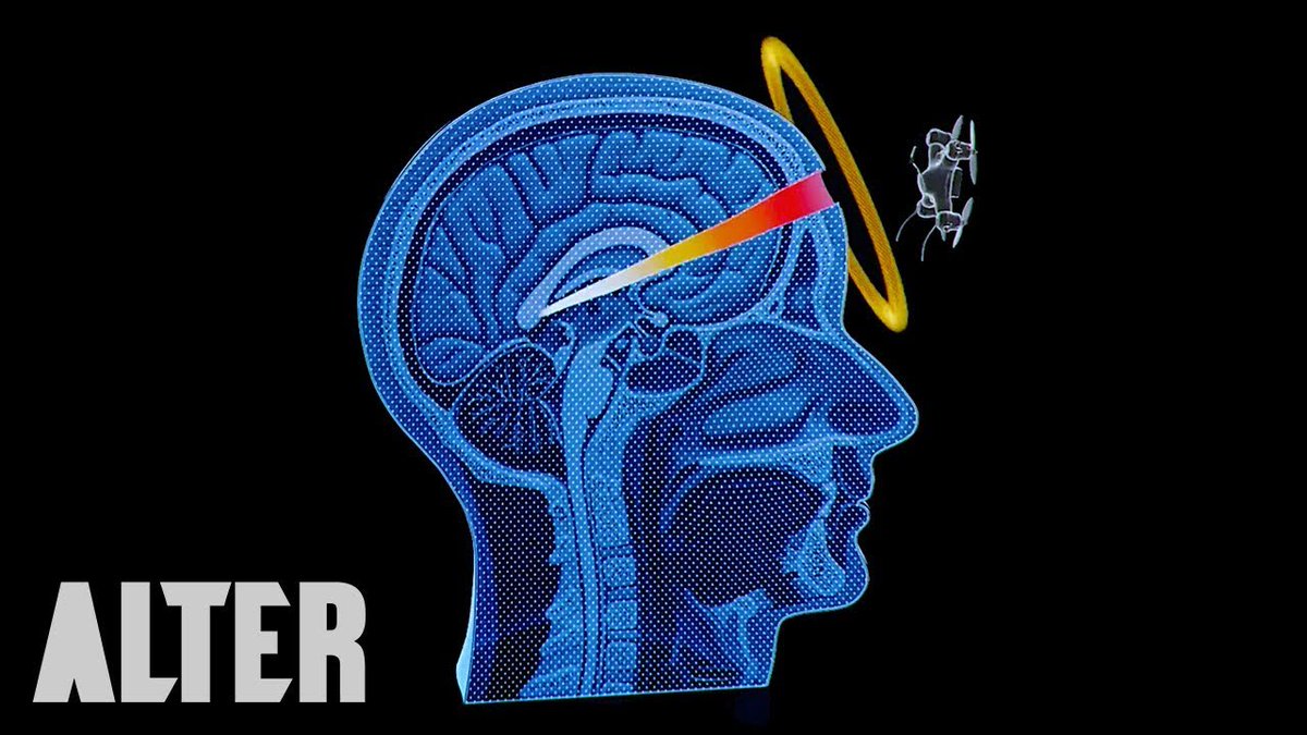 The Solari Report | Catherine Austin Fitts tweet media