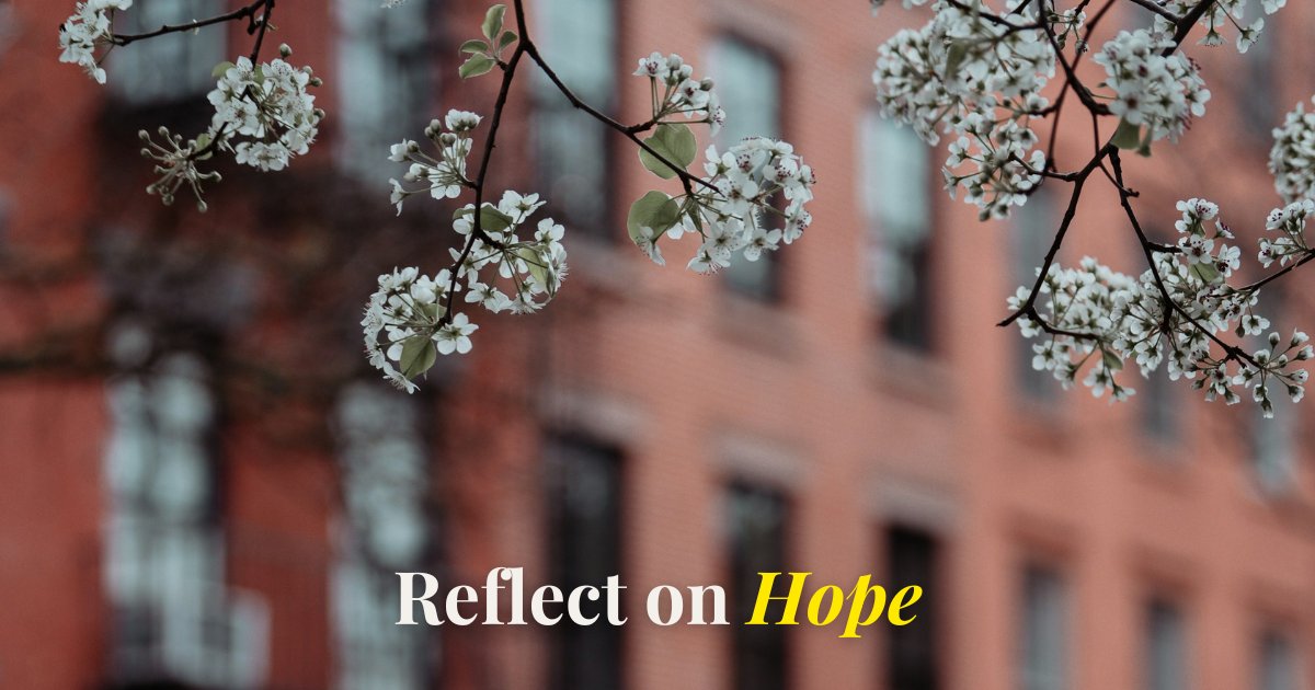 Hope For New York tweet media