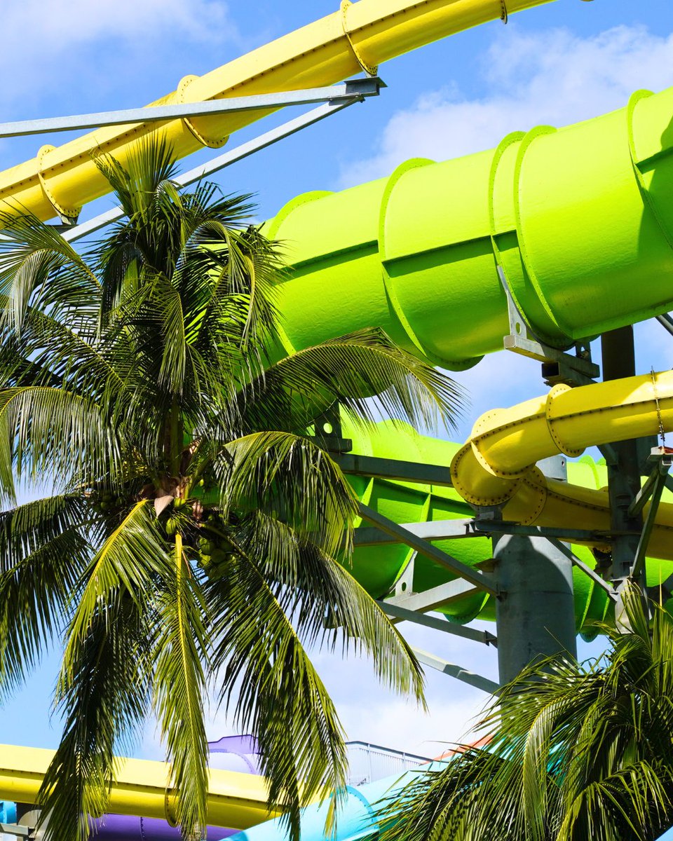 Rapidswaterpark's tweet photo. The calm before the splashππ΄
Opening Day is March 14...let the countdown begin!
#RapidsWaterpark #SplashSeason #SouthFloridaFun #OpeningDay #SlideIntoFun https://t.co/uoc2NNskZb