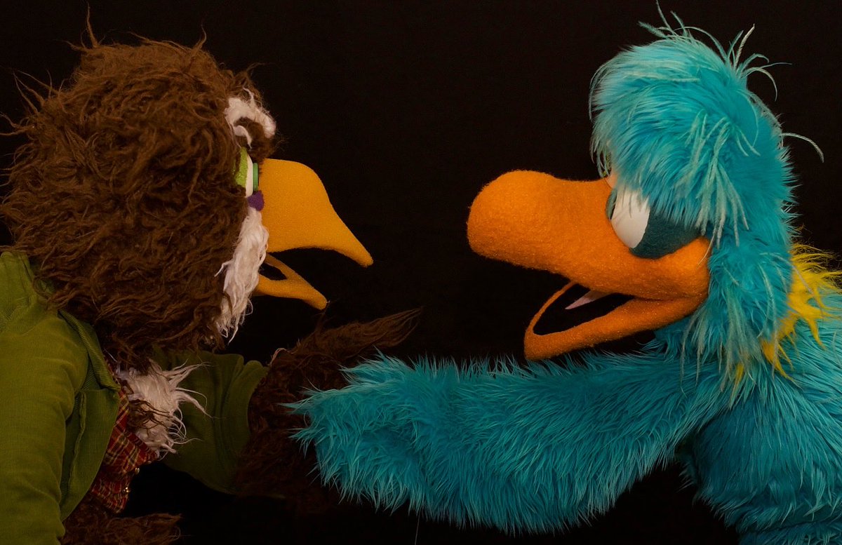 Bird Call tweet media