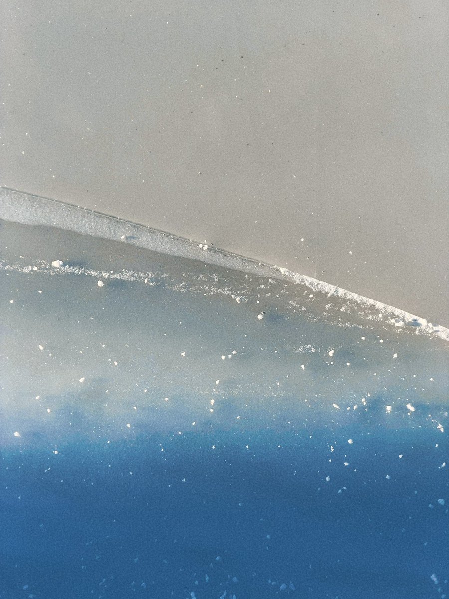 эчпочмоня tweet media