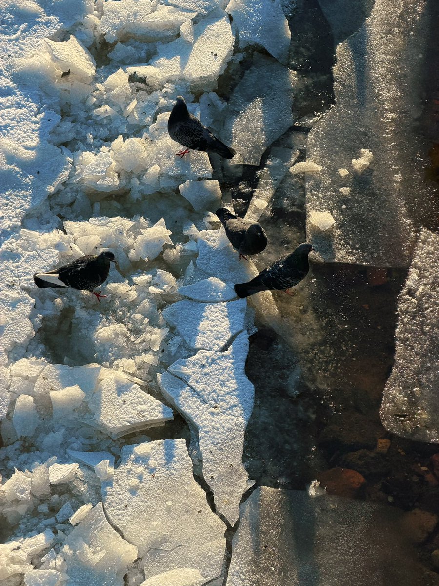 эчпочмоня tweet media