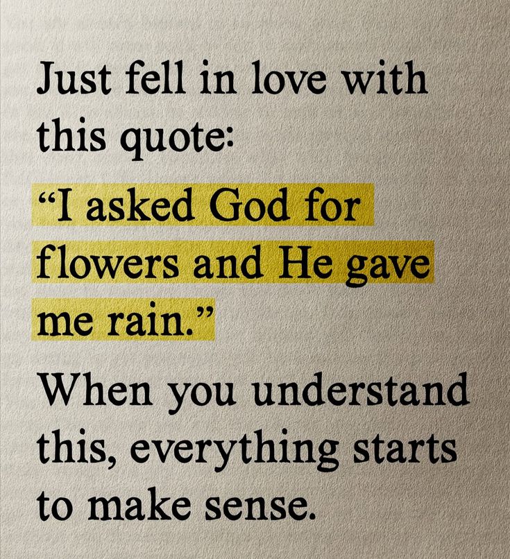 theendeavorpath (@theendeavorpath) on Twitter photo 