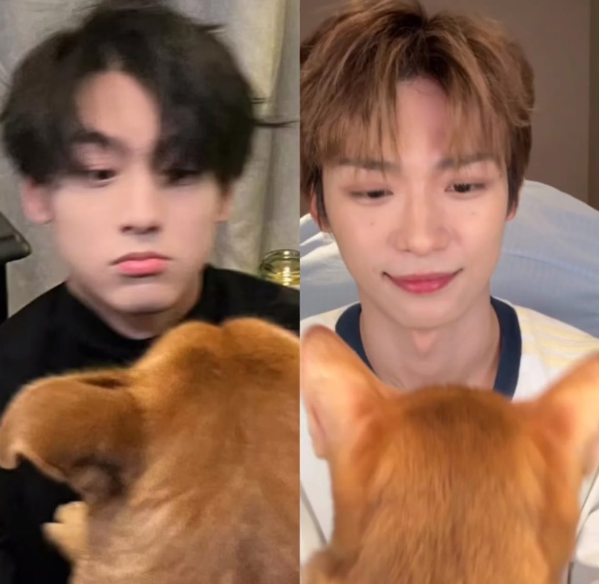 urlove.(leena) ⋆. 𐙚 ˚ tweet media