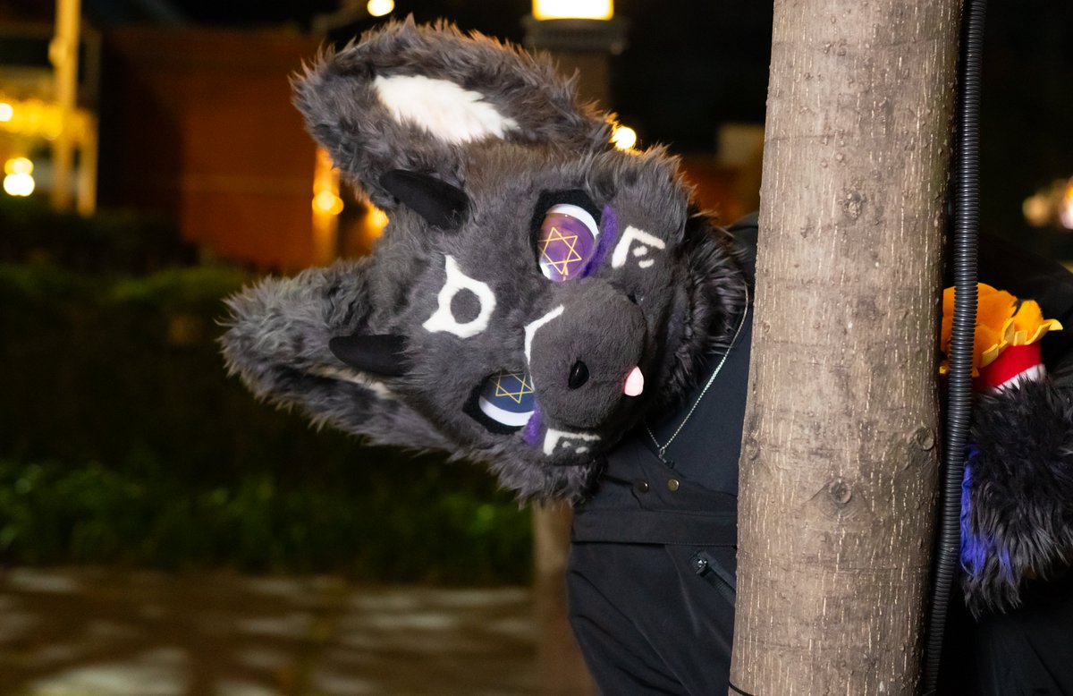 Shadow_FeatherZ's tweet photo. 2026新年快樂哇
#Furry #fursuit https://t.co/WoejsUzkhv