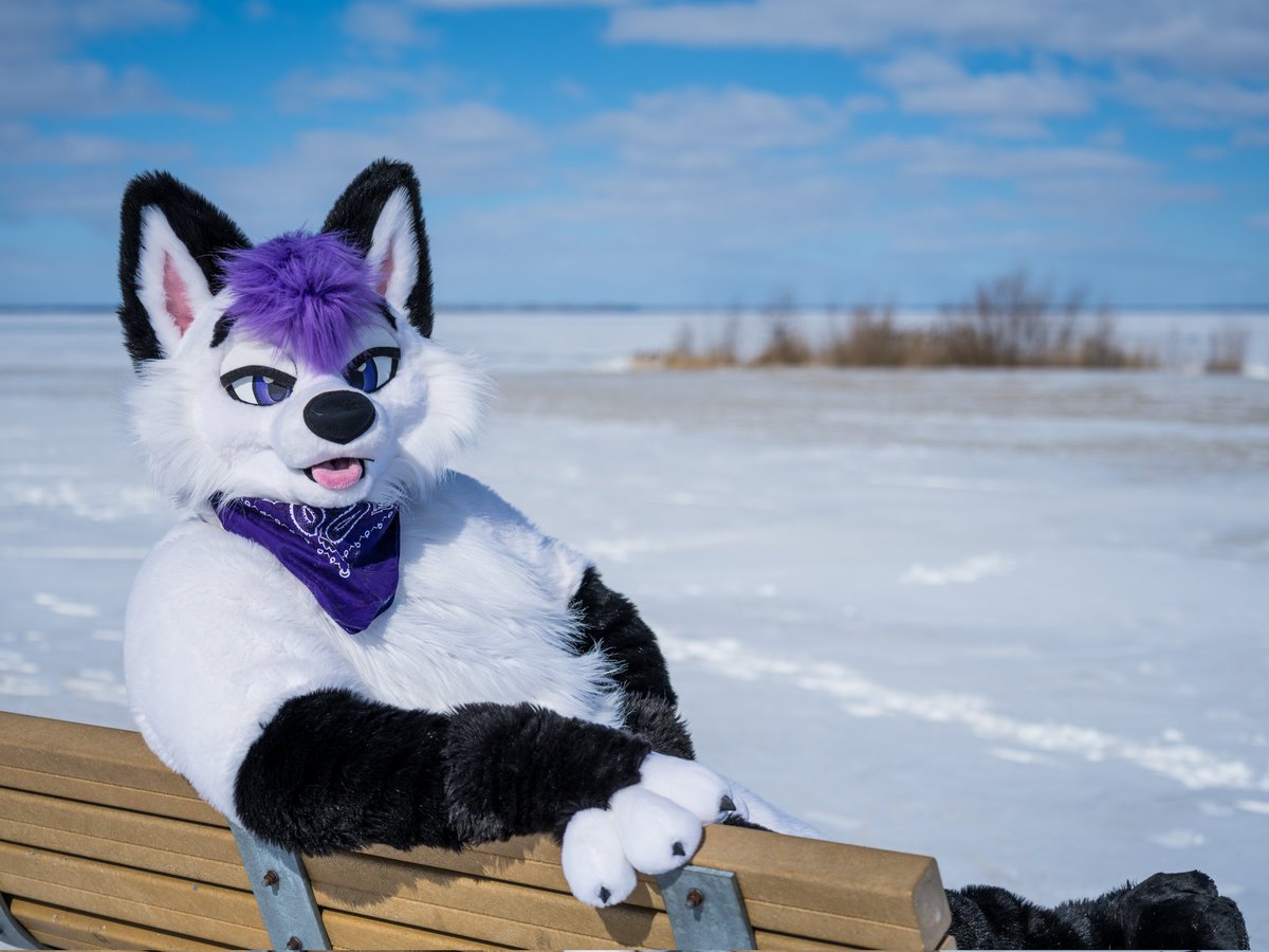 Lavyyyy 🔜 AO tweet media