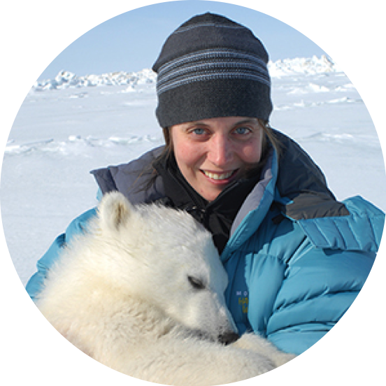 UBC Oceans (also found at ubcoceans.bsky.social) tweet media