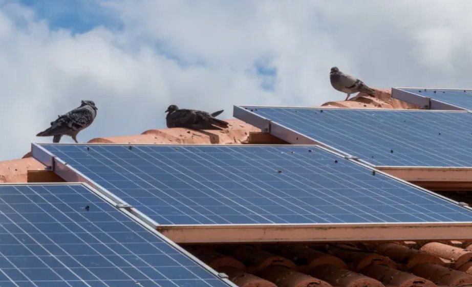 Proper maintenance ensures your solar system works efficiently for years. Regular visual checks, cleaning, and performance monitoring are key! Learn more here: monkeylink.co/073bb0