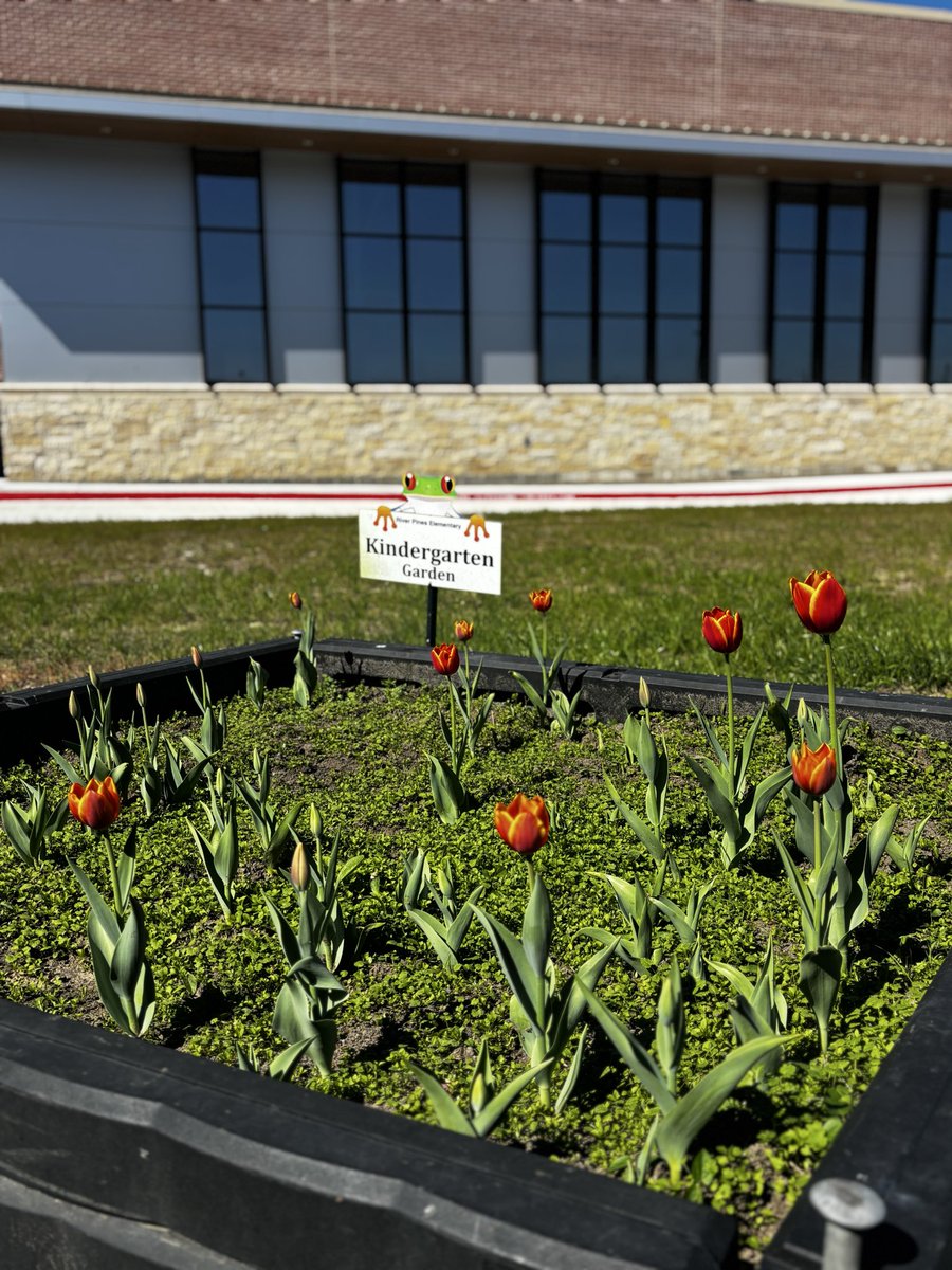 Shannan Burke tweet media