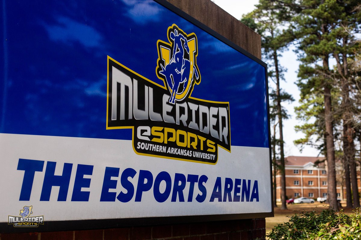 Mulerider Esports tweet media